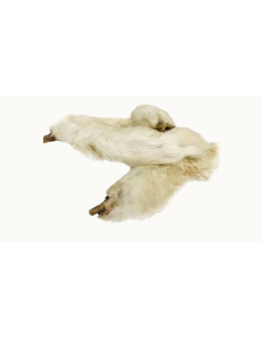 PATTES DE LAPIN 10 PCS
