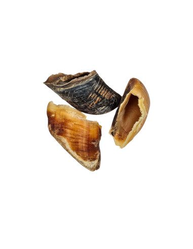 sabot de boeuf  friandise XL 50 x