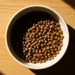 Alimentation petit chien : comment nourrir votre compagnon ?