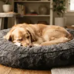 A calm, content domestic dog, comfortably curled up and sleeping soundly on a plush, inviting dog bed